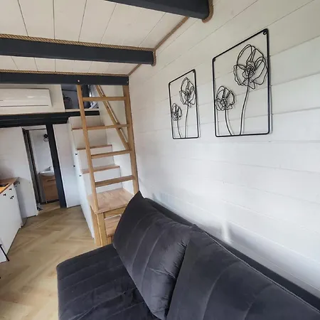 Krynica Family House 別荘 *